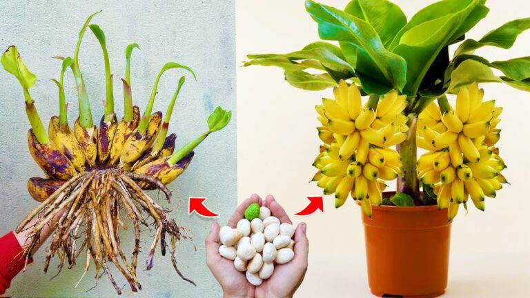 5 remedios naturales que empeoran tus problemas de piel sin saberlo