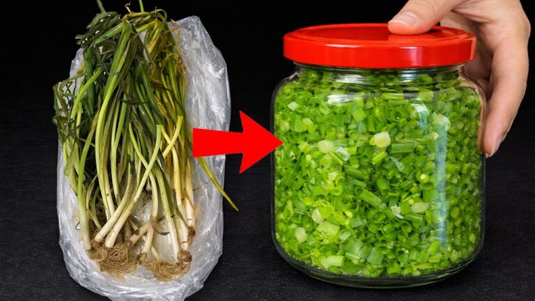 6 errores de jardinería que empeoran tus plantas sin saberlo