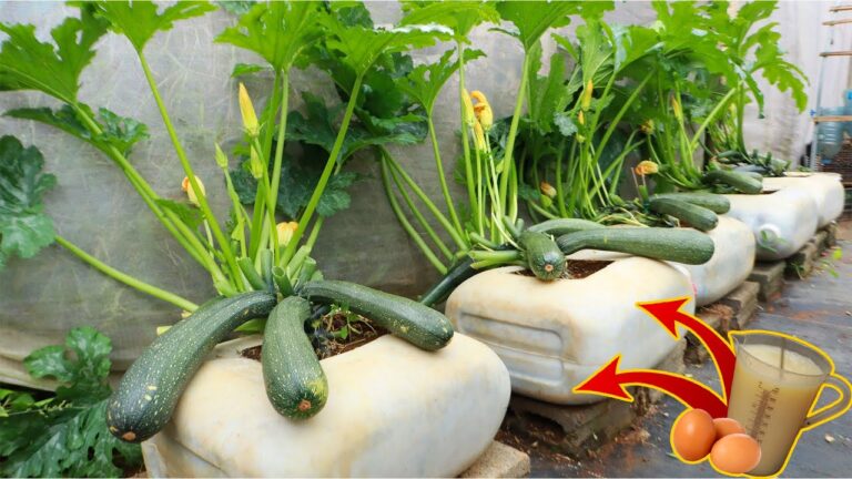 Consejos de jardinería que empeoran tu huerto sin saberlo