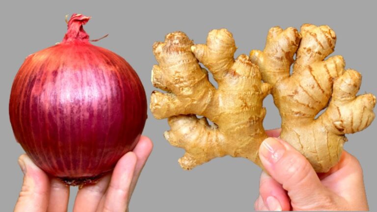 5 plantas de interior que estás matando sin saberlo y que son resistentes