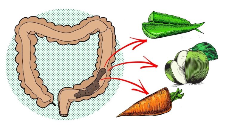 4 errores en la jardinería que empeoran tu huerto sin saberlo