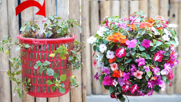 Errores comunes en tu huerto: 7 prácticas que perjudican tus plantas sin saberlo