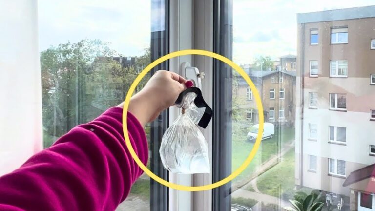 5 errores comunes en jardinería que empeoran tu huerto sin saberlo