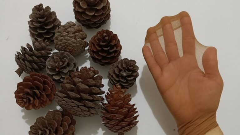 5 errores en jardinería que empeoran tu plantas sin saberlo