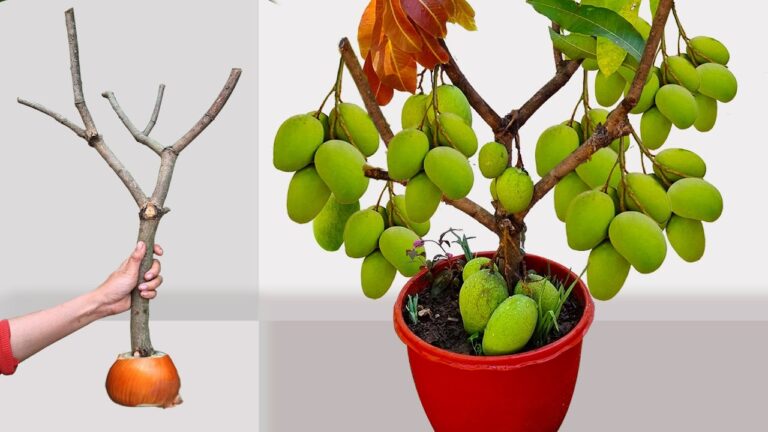 Errores en jardinería que empeoran tus plantas y que mucha gente todavía ignora