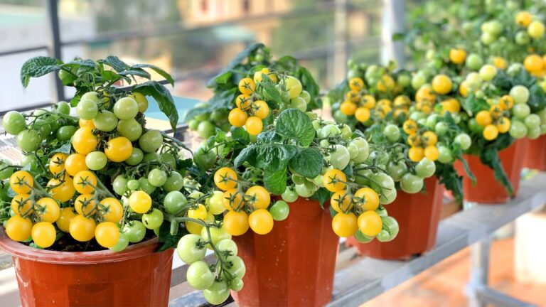 6 cuidados naturales que empeoran la salud de tu piel sin saberlo