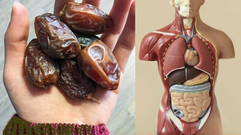 5 errores en tu huerto que empeoran la cosecha sin saberlo