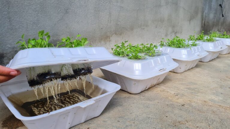 5 plantas para tu huerto que empeoran tu cosecha sin saberlo