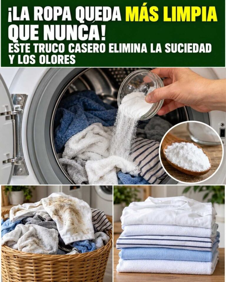 ¡La ropa queda más limpia que nunca! Este truco casero ayuda a eliminar suciedad y malos olores