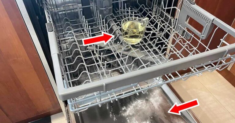 Como desengordurar, desinfetar e perfumar a máquina da loiça com o método do copo