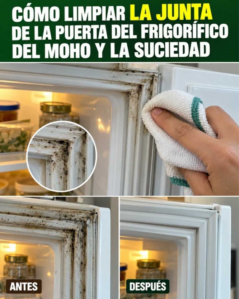 Como limpar mofo e sujidade da borracha da porta do frigorífico