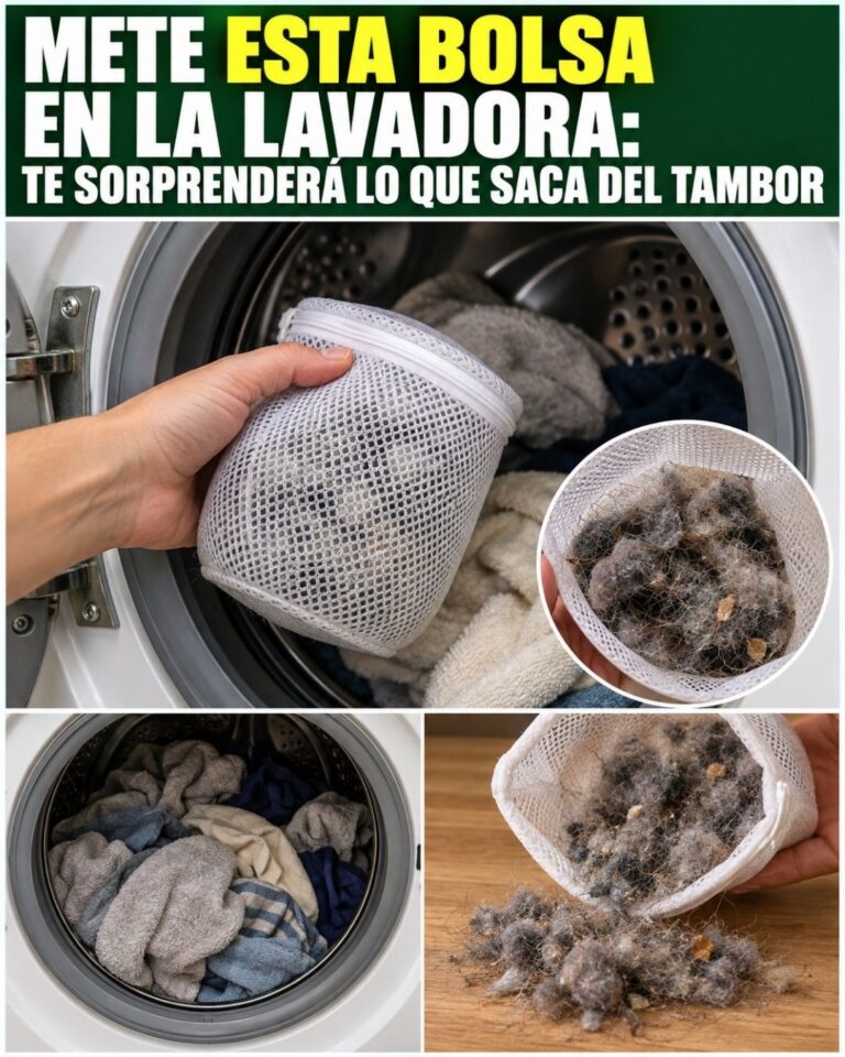 Mete ESTA bolsa en la lavadora: te sorprenderá lo que saca del tambor