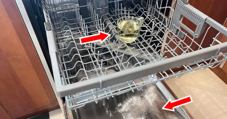 Cómo desengrasar, desinfectar y perfumar el lavavajillas con el método del vaso