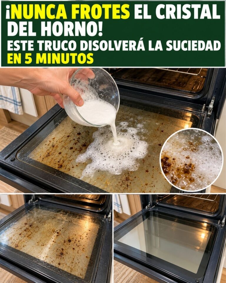 ¡Nunca frotes el cristal del horno! Este truco disolverá la suciedad en 5 minutos