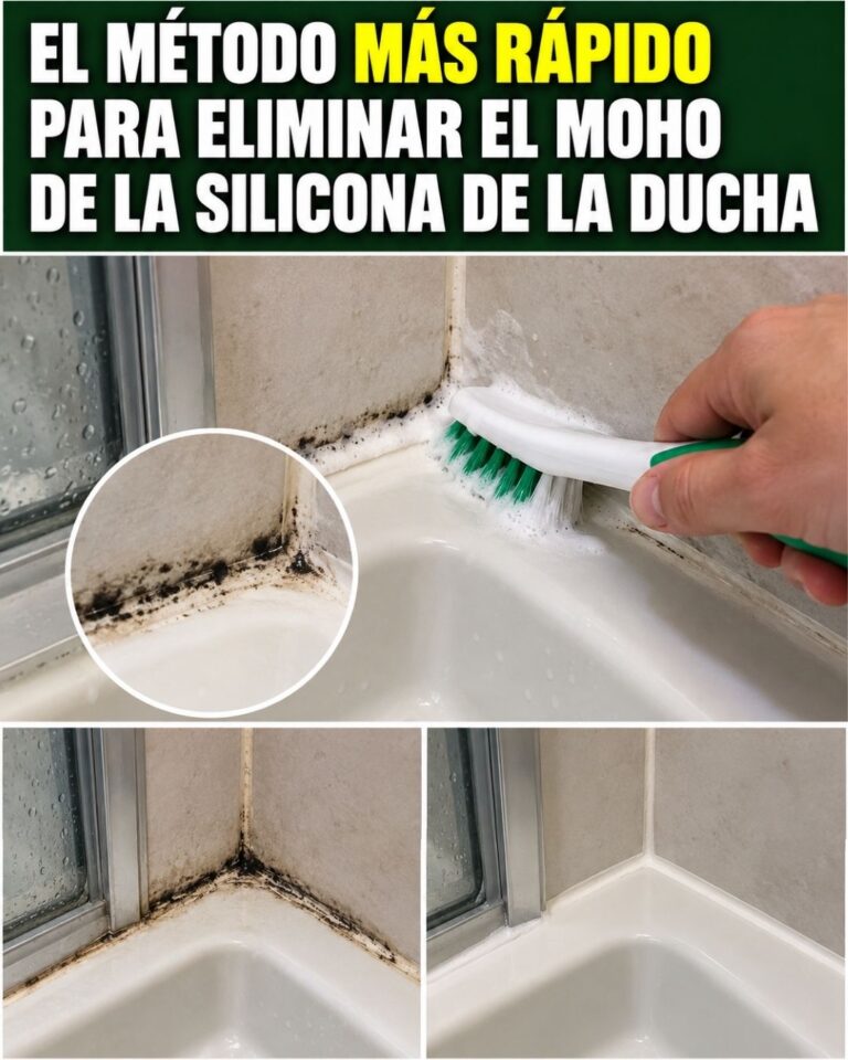 El método más rápido para eliminar el moho de la silicona de la ducha