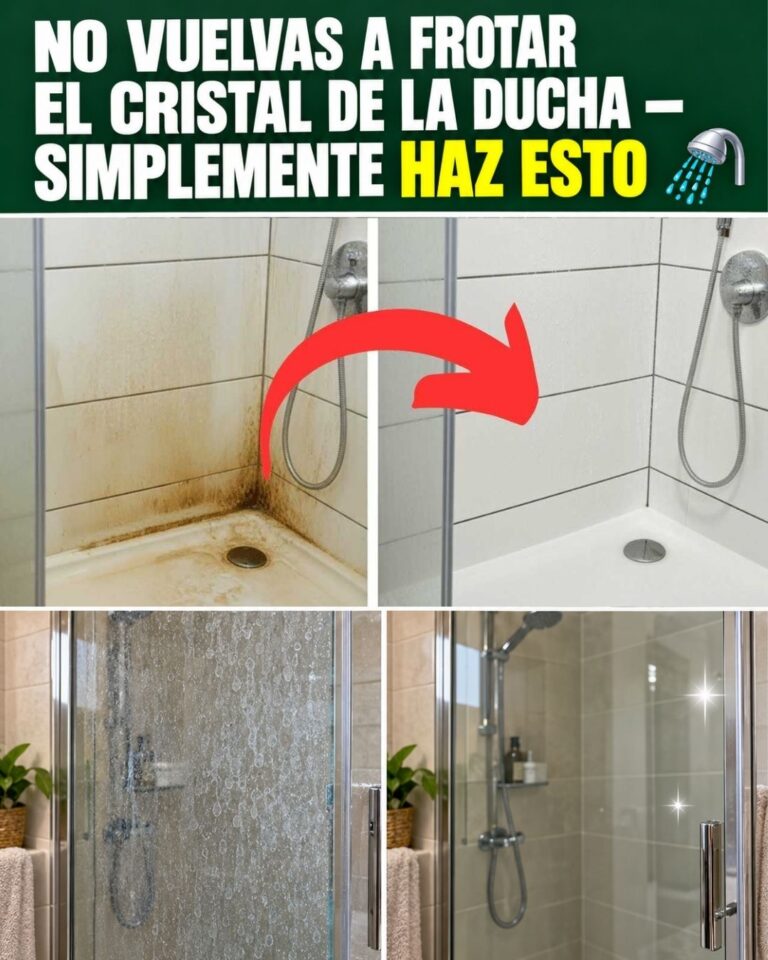 No vuelvas a frotar el cristal de la ducha — simplemente haz ESTO 🚿