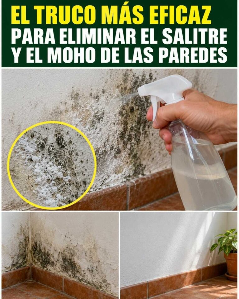 Uno de los trucos más eficaces para combatir el salitre y el moho de las paredes