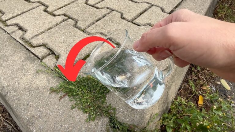 Una sola gota hace que las malas hierbas se desintegren hasta la raíz