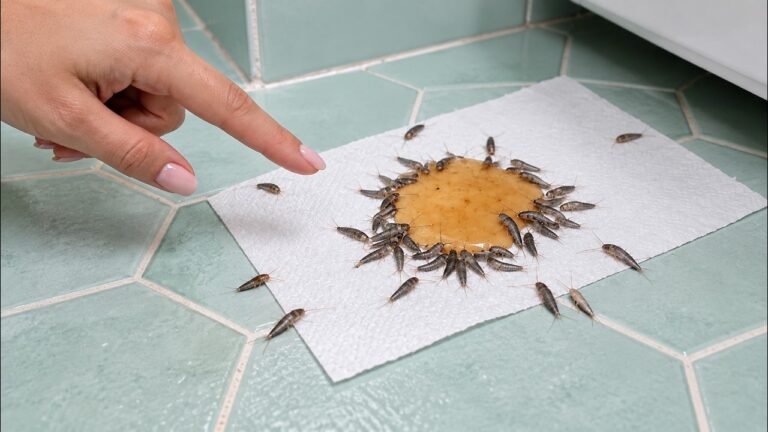 ¿Pececillos de plata en tu baño? Este truco poco conocido con periódico los elimina para…